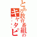 とある教育番組のキャタピラ人形（マッキー）