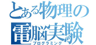 とある物理の電脳実験（プログラミング）