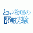 とある物理の電脳実験（プログラミング）