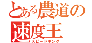 とある農道の速度王（スピードキング）