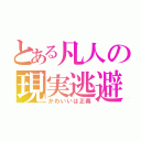 とある凡人の現実逃避（かわいいは正義）