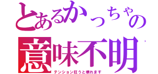 とあるかっちゃんの意味不明（テンション狂うと壊れます）