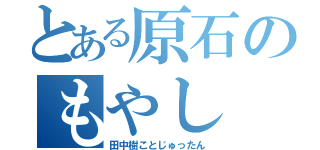 とある原石のもやし（田中樹ことじゅったん）