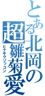 とある北岡の超雛菊愛（ヒナギクゾッコン）