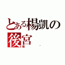 とある楊凱の後宮（萌~）