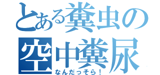 とある糞虫の空中糞尿（なんだっそら！）