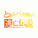 とあるバカ殿の逃亡伝説（城から逃げちゃうよ！）