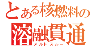 とある核燃料の溶融貫通（メルトスルー）