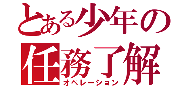 とある少年の任務了解（オペレーション）