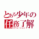 とある少年の任務了解（オペレーション）