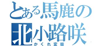 とある馬鹿の北小路咲枝（かくれ変態）