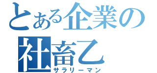 とある企業の社畜乙（サラリーマン）