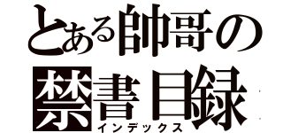 とある帥哥の禁書目録（インデックス）