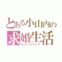 とある小山内の求婚生活（セクハラライフ）