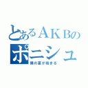 とあるＡＫＢのポニシュ（僕の夏が始まる）