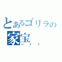 とあるゴリラの家宝（バナナ）