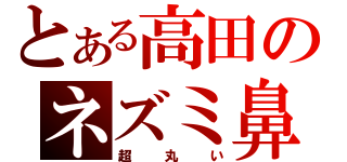 とある高田のネズミ鼻（超丸い）