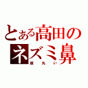 とある高田のネズミ鼻（超丸い）