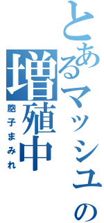 とあるマッシュの増殖中（胞子まみれ）