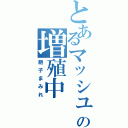 とあるマッシュの増殖中（胞子まみれ）