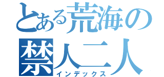 とある荒海の禁人二人（インデックス）