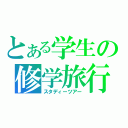 とある学生の修学旅行（スタディーツアー）