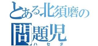 とある北須磨の問題児（ハセダ）