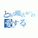 とある魔法使いの愛する（サヤ）