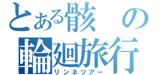 とある骸の輪廻旅行（リンネツアー）