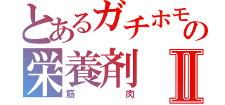 とあるガチホモの栄養剤Ⅱ（筋肉）