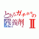 とあるガチホモの栄養剤Ⅱ（筋肉）