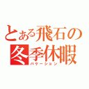 とある飛石の冬季休暇（バケーション）