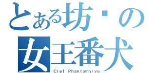 とある坊醬の女王番犬（Ｃｉｅｌ Ｐｈａｎｔｏｍｈｉｖｅ）