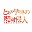 とある学徒の絶対侵入不可領域（マルチエリア）