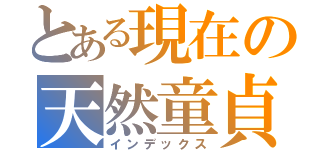 とある現在の天然童貞（インデックス）