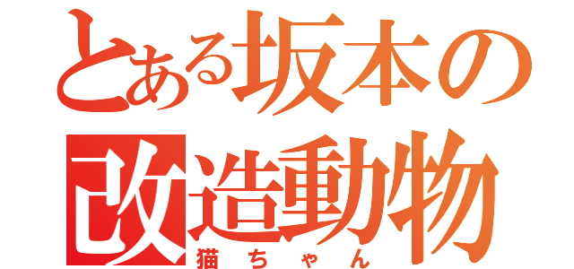 とある坂本の改造動物（猫ちゃん）