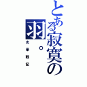 とある寂寞の羽。（光暈戰記）