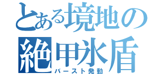 とある境地の絶甲氷盾（バースト発動）