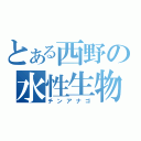 とある西野の水性生物（チンアナゴ）