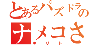 とあるパズドラのナメコさん（キリト）