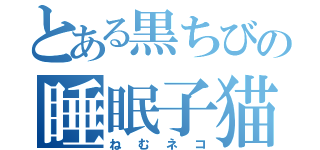 とある黒ちびの睡眠子猫（ねむネコ）