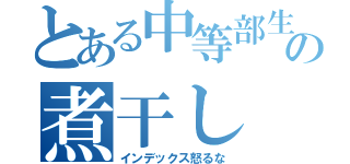 とある中等部生の煮干し（インデックス怒るな）
