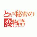 とある秘密の恋物語（ラブストーリー）