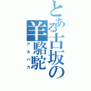 とある古坂の羊駱駝（アルパカ）