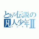 とある伝説の凡人少年Ⅱ（トシキ）