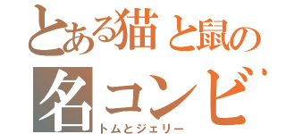 とある猫と鼠の名コンビ（トムとジェリー）