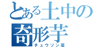 とある土中の奇形芋（チュウソン豪）