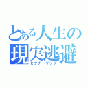 とある人生の現実逃避（セツナトリップ）