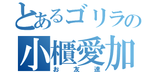 とあるゴリラの小櫃愛加（お友達）