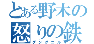 とある野木の怒りの鉄槌（グングニル）